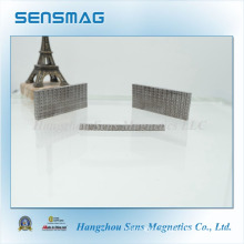 Customized High Quality Permanent NdFeB Magnet for Motor Use